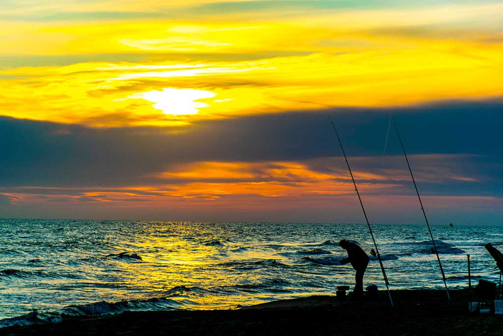 Angeln Dänemark Vorschriften und Angelschein Regeln - Ein Angler bei Sonnenuntergang am dänischen Strand, eine Szene, die die Faszination des Angelns in Einklang mit der Natur zeigt.