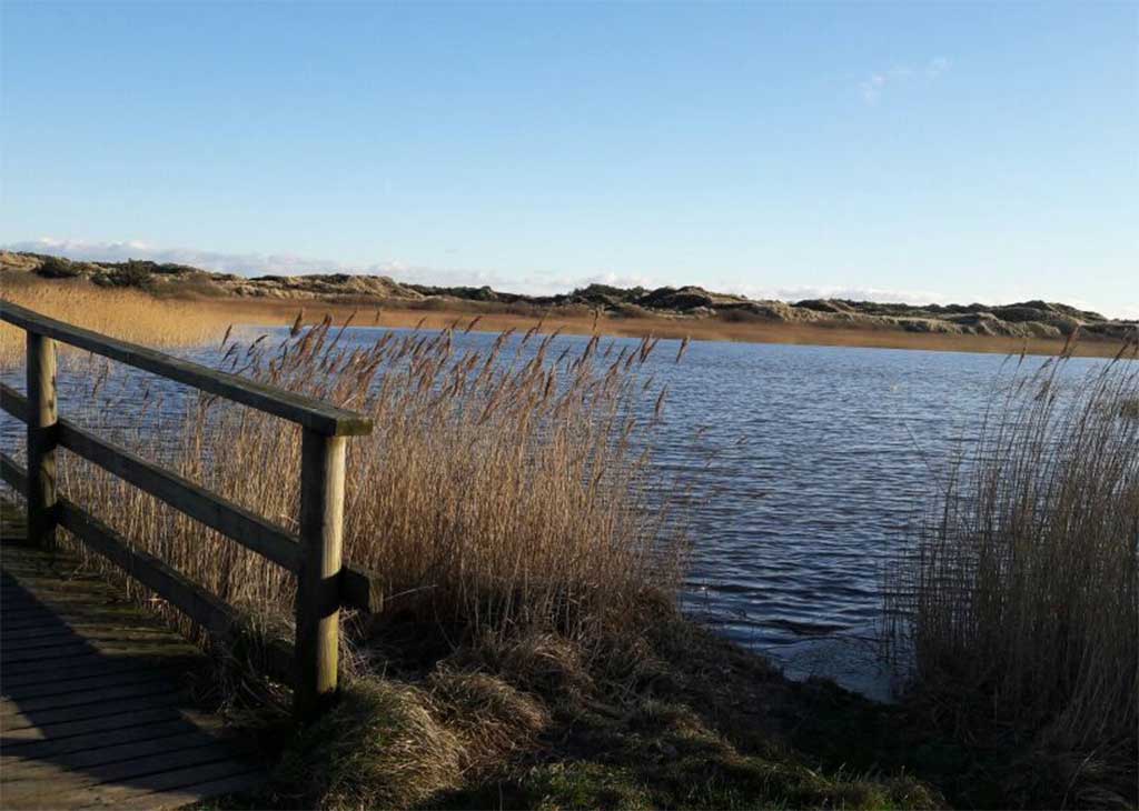 Dänemark Ferienhaus Nordsee