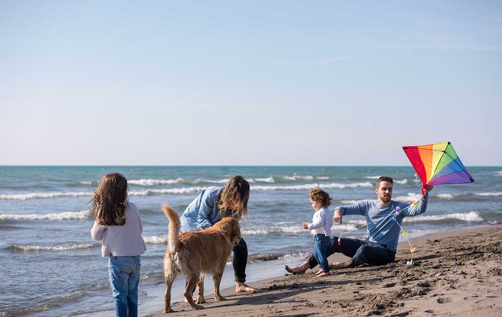 Ferien mit Hund