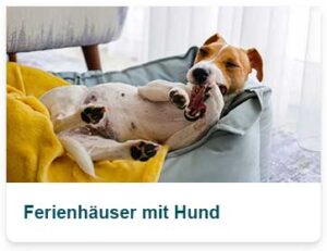 Ferienhaus mit Hund