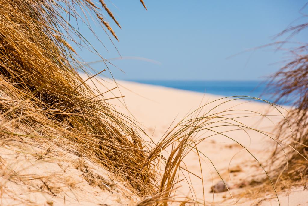 Feriepartner Hvide Sande