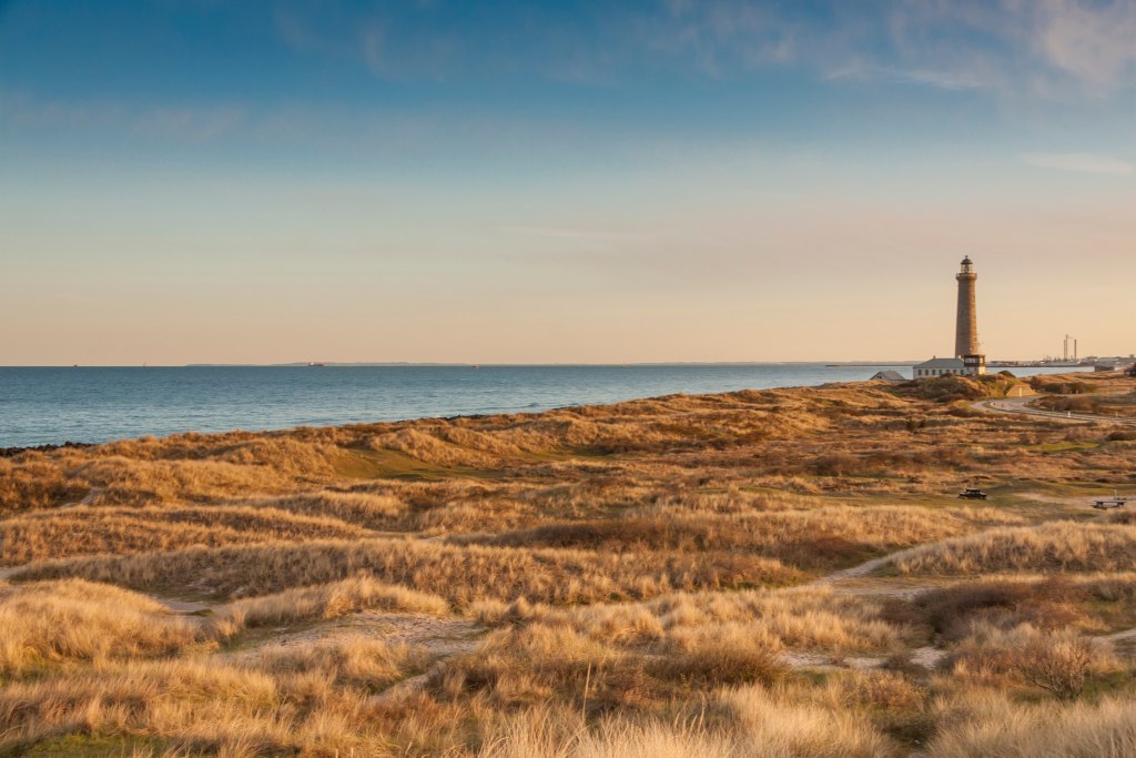 Naturpark dänische Nordsee