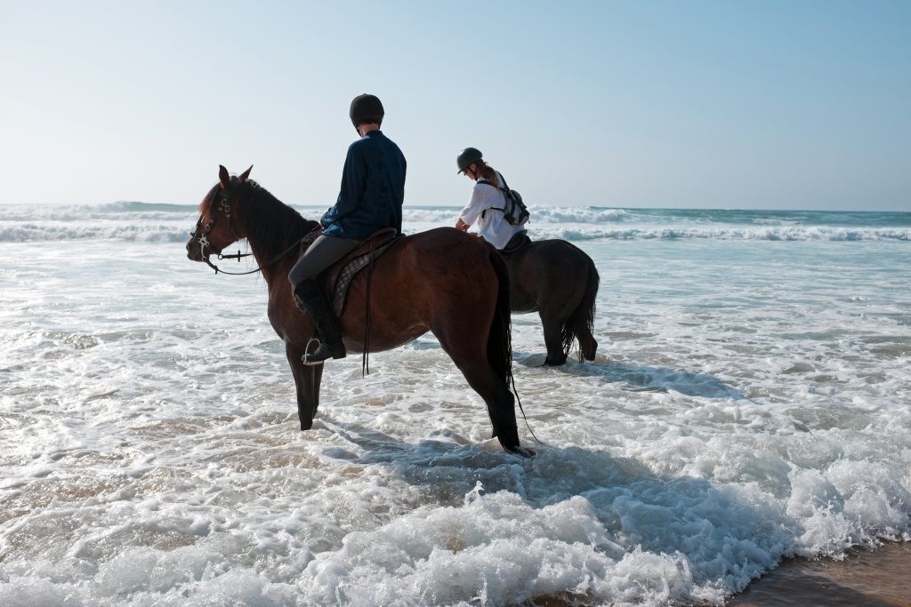 Reiterferien am Meer