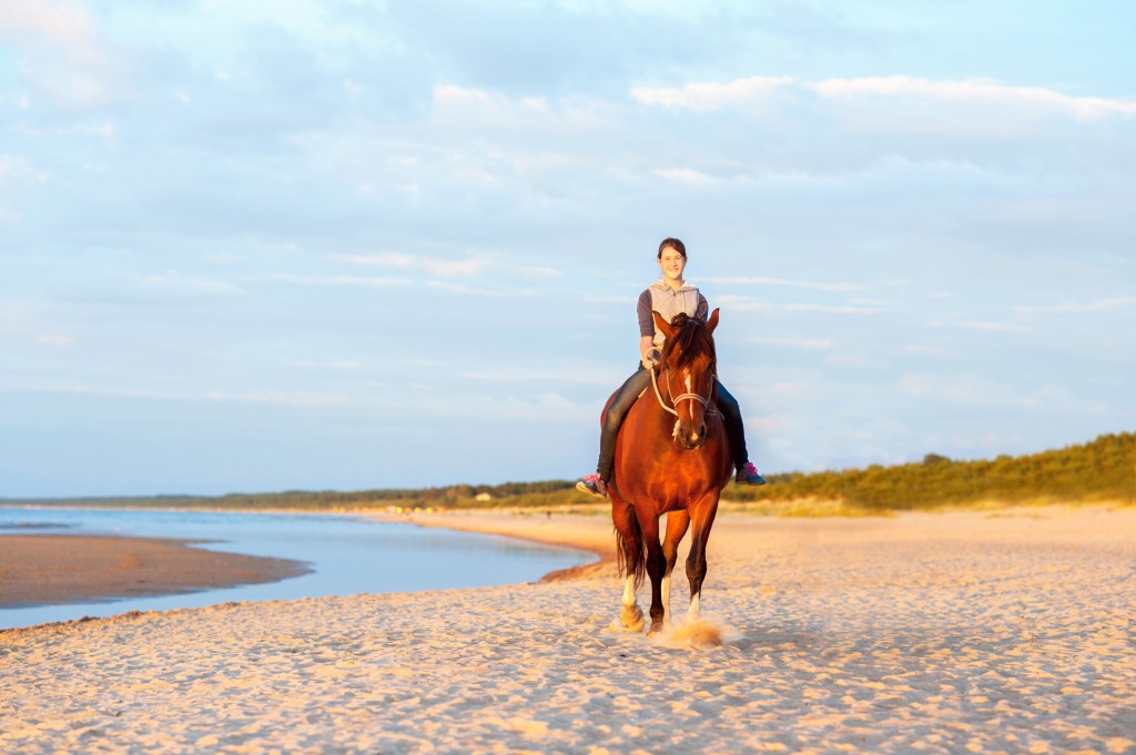 Reiturlaub Nordsee