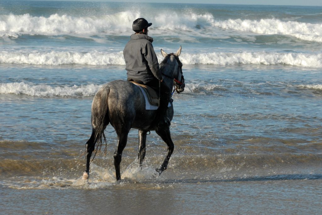 Strandausritt Nordsee