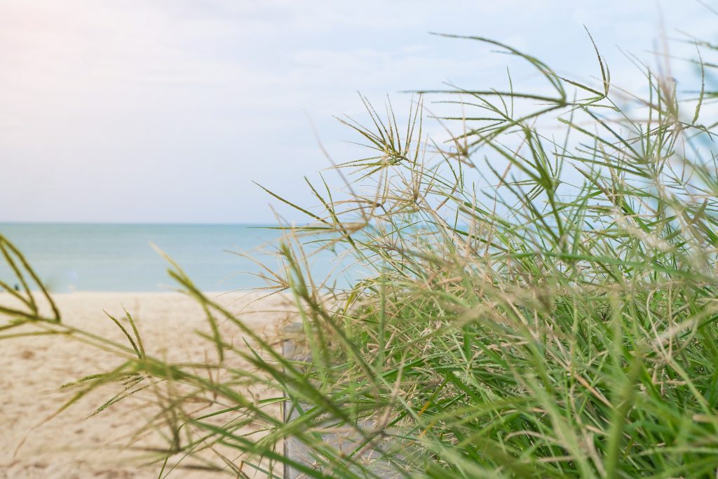Wetter dänische Nordsee