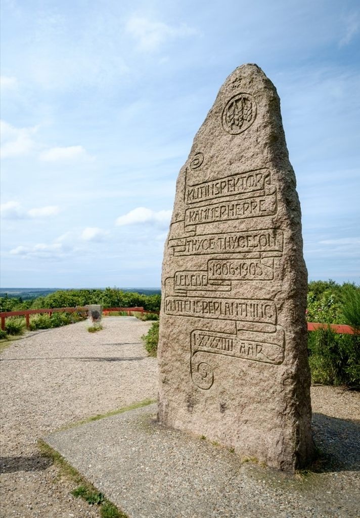 Runenstein mit Inschriften und Symbolen steht in der Blåbjerg Plantage auf dem Blåbjerg, eingebettet in eine natürliche Landschaft mit klarem Himmel im Hintergrund.