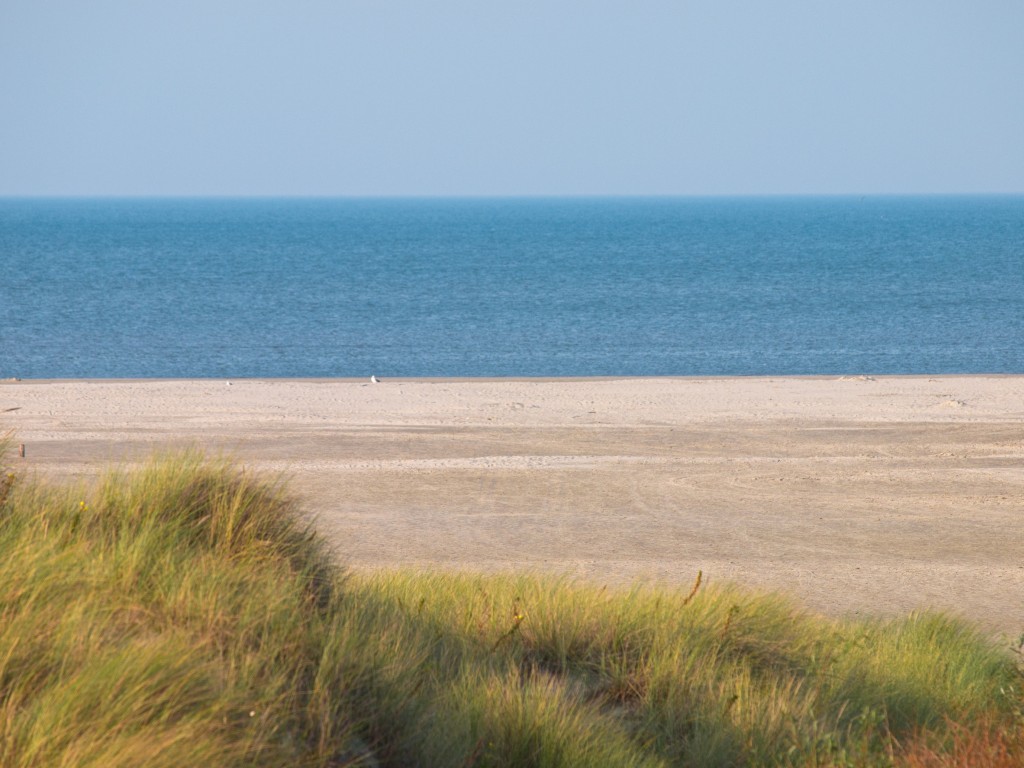 Ferienhaus Blavand - Die ruhige Szenerie des Strandes von Blavand, ein idealer Ort für Erholungssuchende in einem dänischen Ferienhaus.