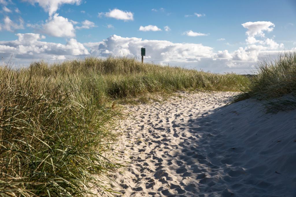 Ferienhaus Dänemark Blavand - Ein sandiger Pfad führt durch die Dünenlandschaft in Blavand, einladend zu den verborgenen Ferienhäusern am Meer.