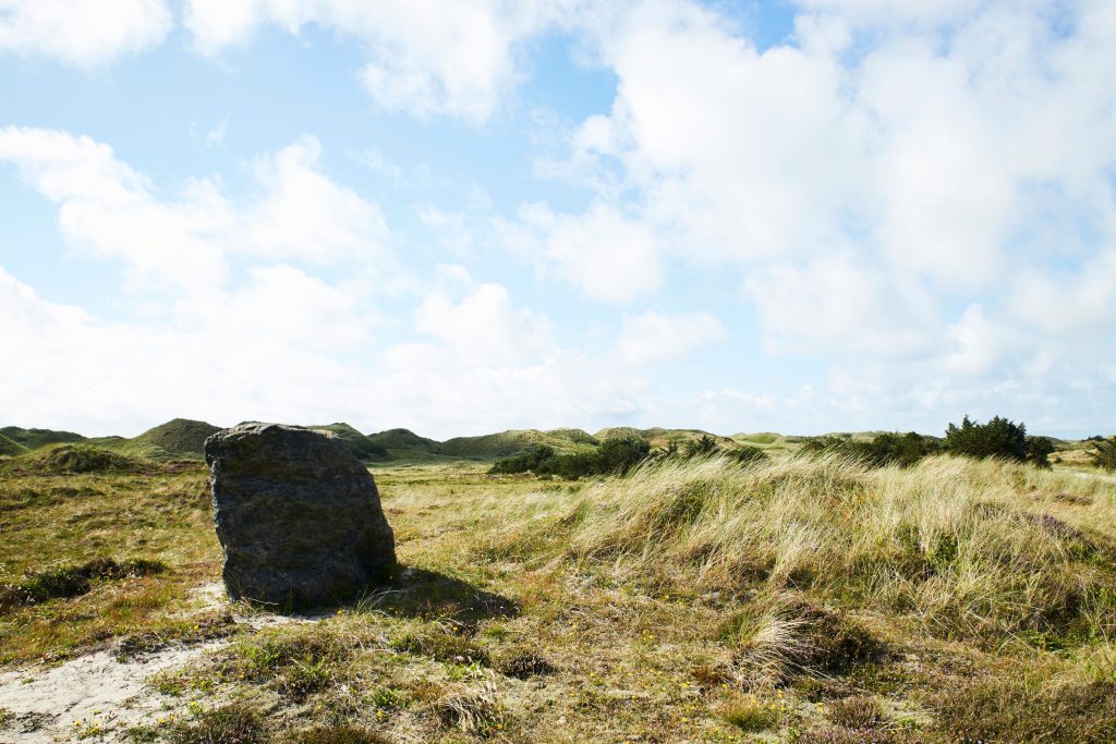 Hvide Sande Webcam - Windgeformte Dünenlandschaft unter einem weiten Himmel, eingefangen durch die Augen einer Webcam in Hvide Sande.