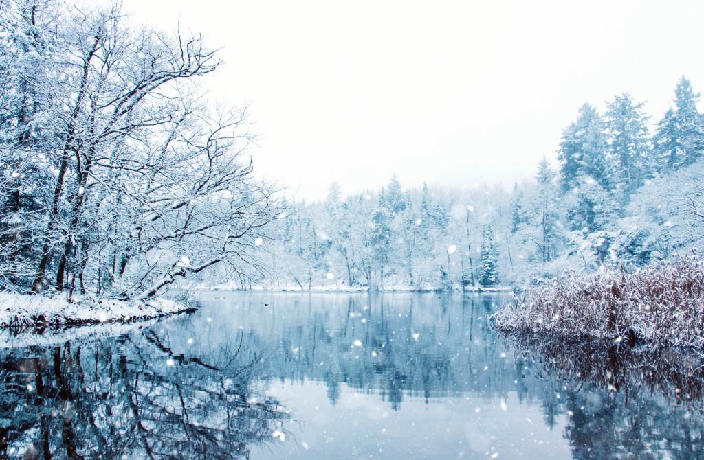 Ostsee Wetter Dänemark - Schneelandschaft mit Bäumen am ruhigen See.