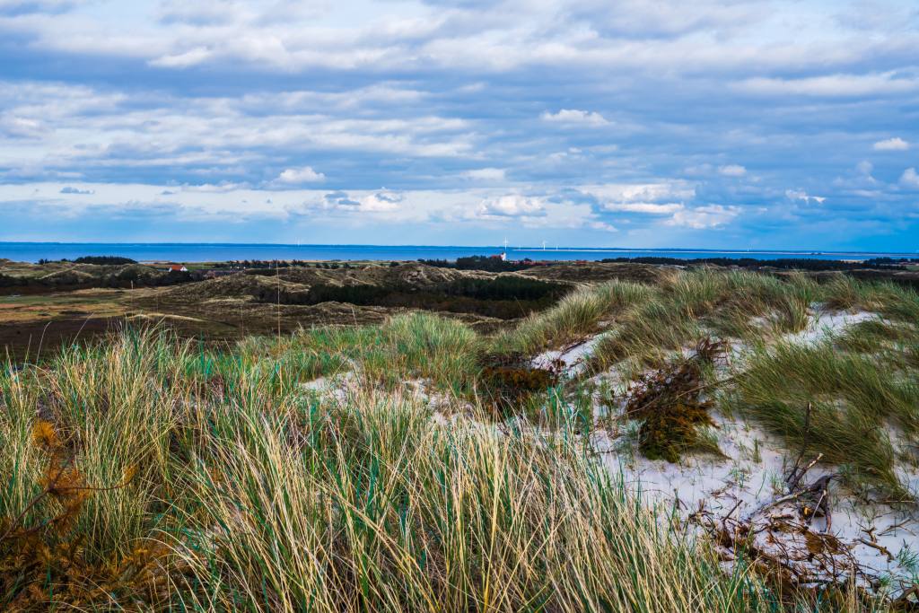 Bjerregård Ferienhaus - Blick auf die sanften Dünen mit wildem Grasbewuchs unter einem dramatisch bewölkten Himmel, der in der Ferne das Meer und vereinzelte Gebäude einfängt.