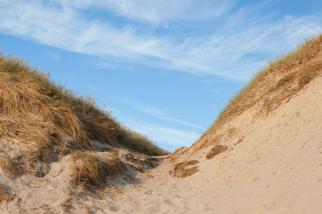Bjerregård - Sanfte Dünenkämme mit trockenem Strandgras unter einem blauen Himmel mit zarten Wolken.