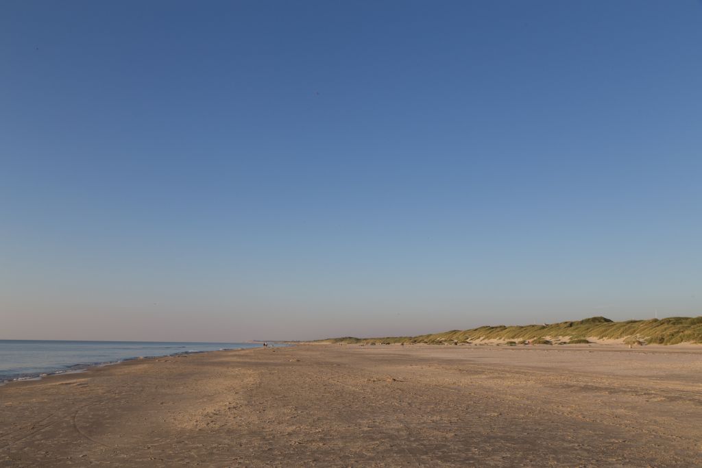 Blokhus - Ein weiter, offener Strand mit feinem Sand, der sich in Blokhus, Dänemark, erstreckt, begleitet von Dünen und spärlicher Vegetation unter einem klaren blauen Himmel in den frühen Abendstunden.
