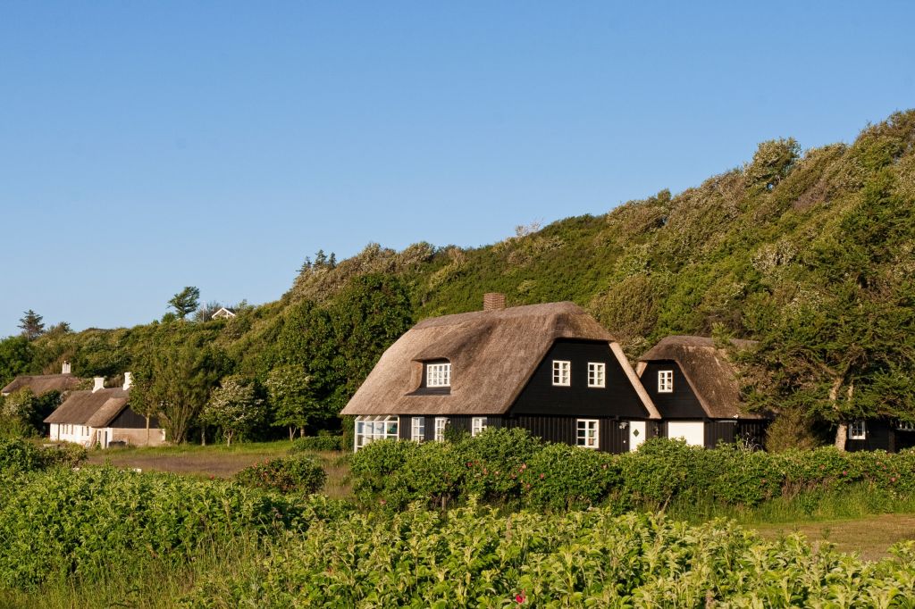 Ebeltoft Ferienhaus umgeben von grüner Landschaft und traditionellem Reetdach.