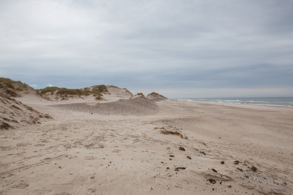 Ruheoase am Strand von Bjerregård Ferienhaus Bjerregård privat - Die weite, offene Landschaft eines ruhigen Strandes mit Dünen unter einem bedeckten Himmel.