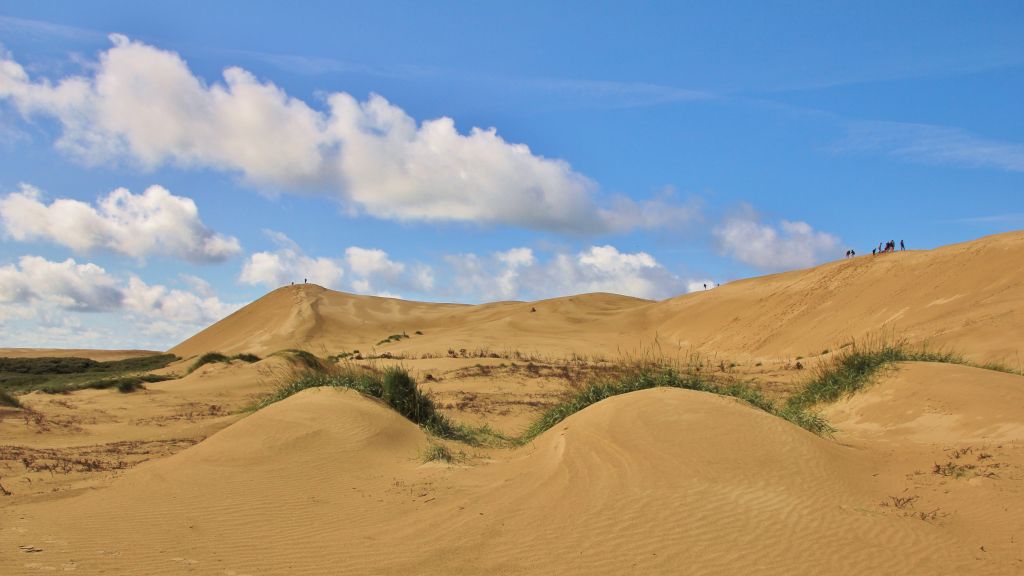 Ferienhaus Løkken Dänemark – Beeindruckende Sanddünen unter blauem Himmel, ein beliebtes Ziel für Erholungssuchende und Naturfreunde.