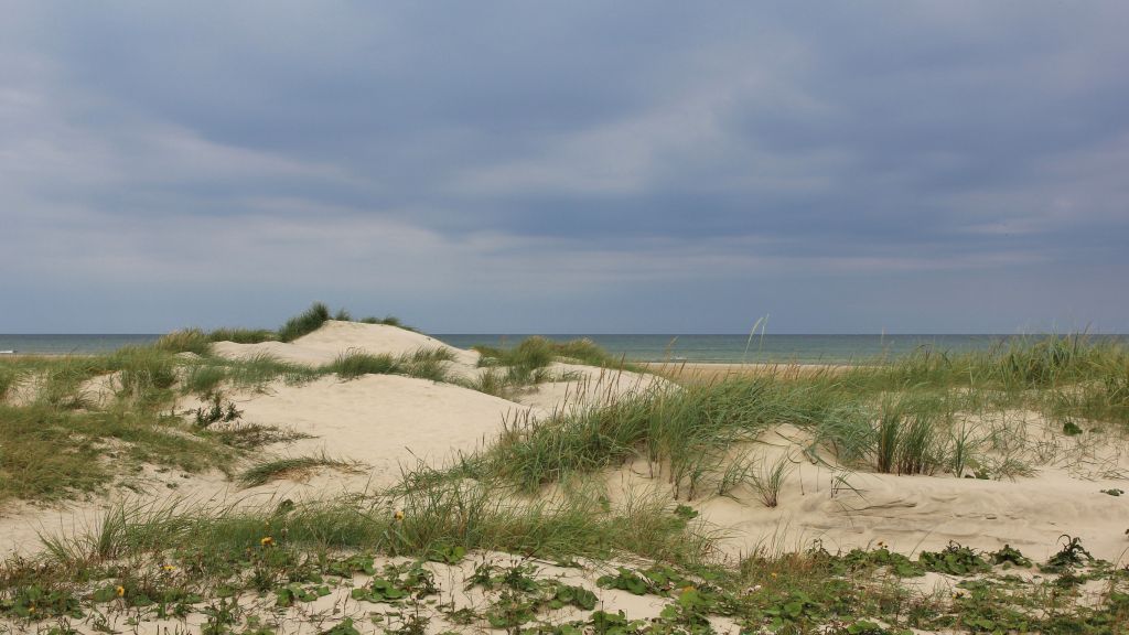 Dünenidylle in Hirtshals Hirtshals Unterkünfte umgeben von malerischen Dünenlandschaften, die Ruhe und Naturnähe bieten, ideal für einen entspannten Urlaub am Meer.