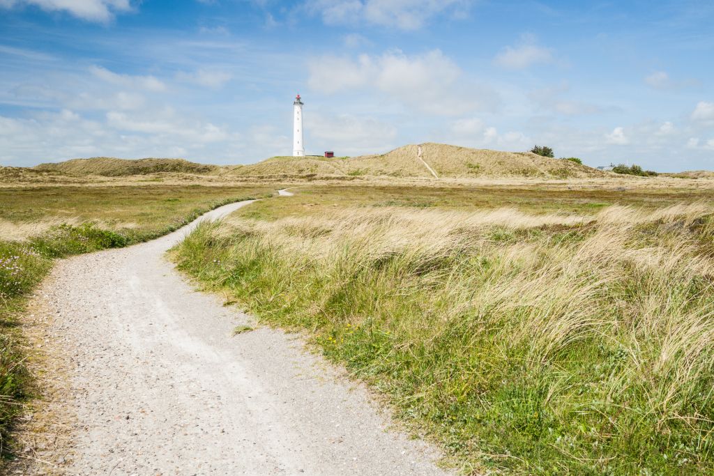 Klegod - Ein malerischer Weg führt durch die Dünenlandschaft von Klegod, Dänemark, mit einem Leuchtturm im Hintergrund, der stolz über die Szenerie wacht.