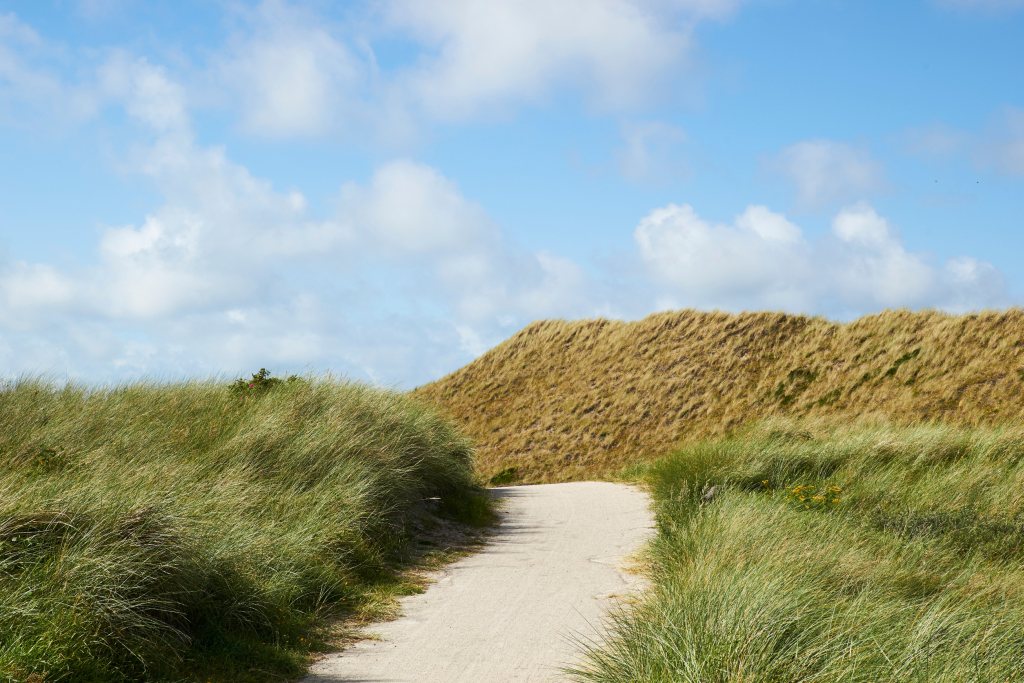 Weg durch die Dünen von Bjerregård Wetter Bjerregård 30 Tage - Ein sandiger Weg schlängelt sich zwischen üppigen Dünengräsern unter einem himmelblauen Wolkenspiel.