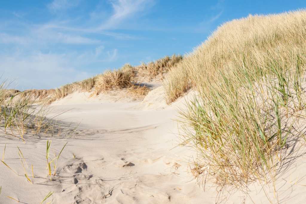 Dänemark Ferienhäuser Vejers Strand