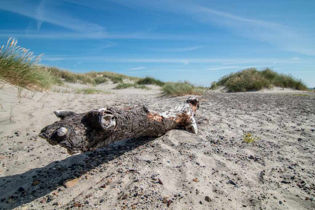 Dänische Grossstadt am Kattegat