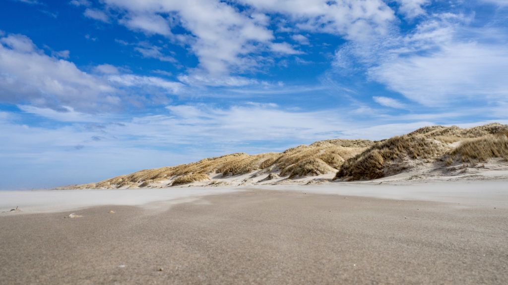 Ferienhäuser Vejers Strand