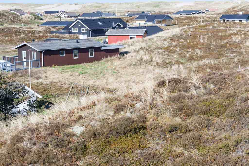 Ferienhaus Bork Havn