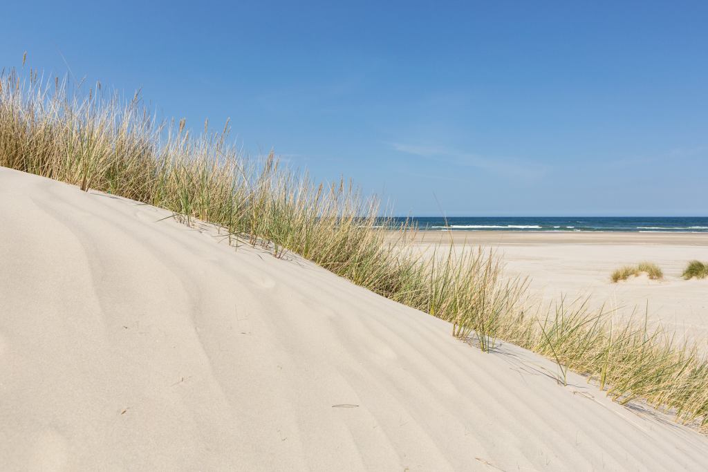 Ferienhaus mit Hund Vejers Strand