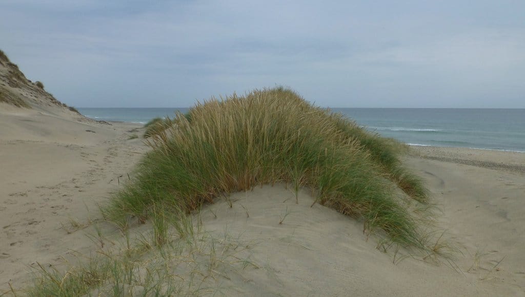 Feriepartner Kattegat