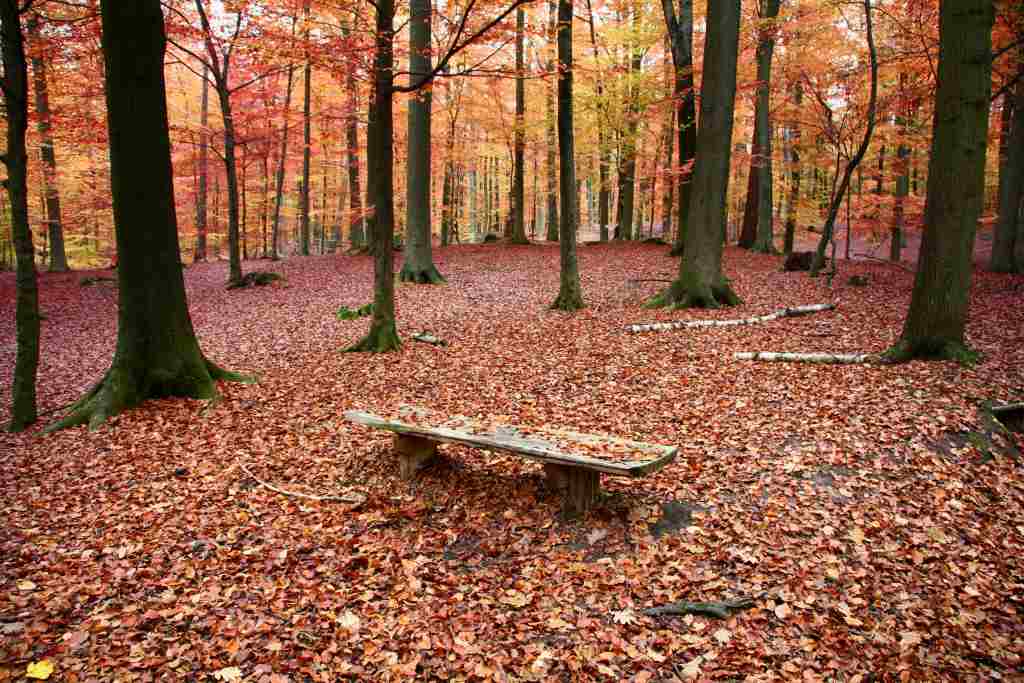 Herbsturlaub in Dänemark