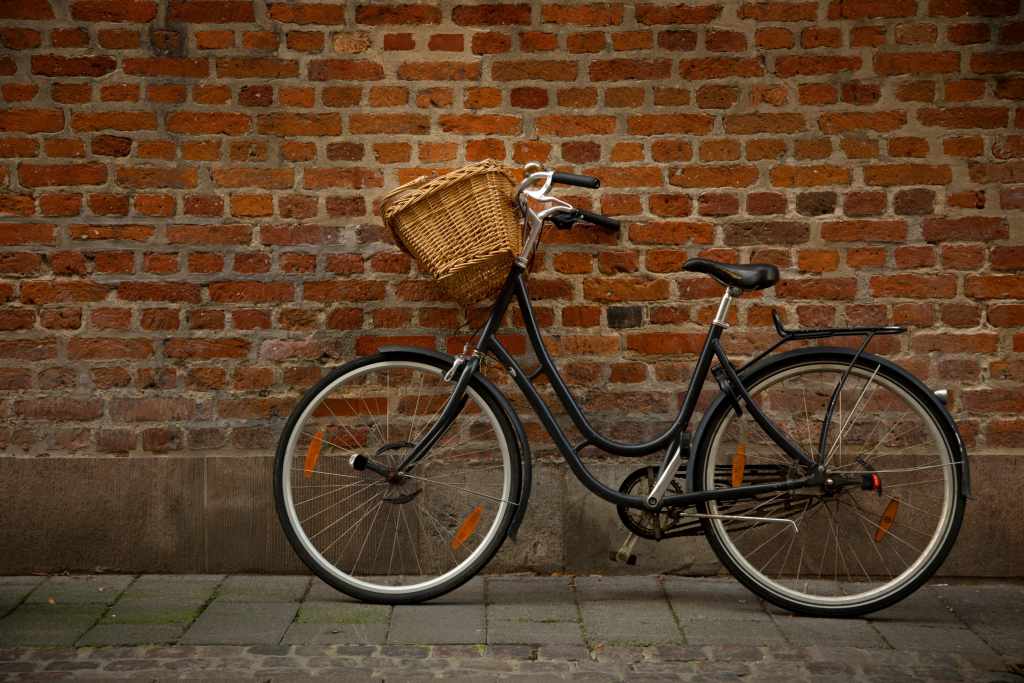 Radfahren mit Hund in Dänemark