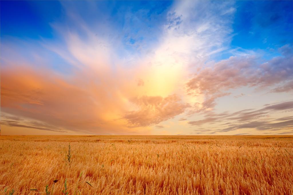 Saisonurlaub in Dänemark