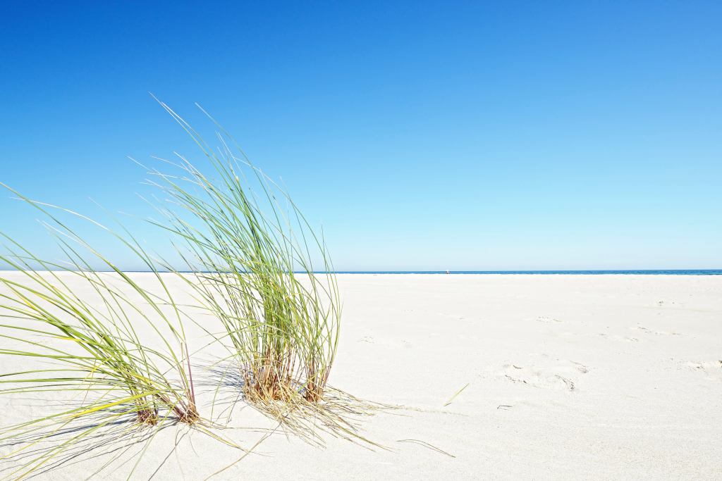 Sommerurlaub in Dänemark