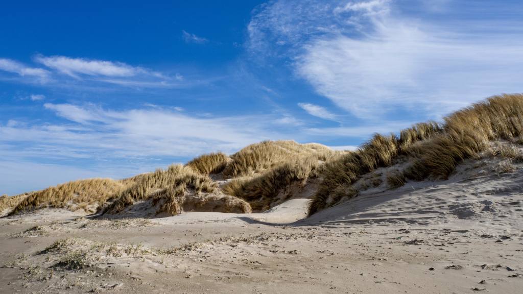 Vejers Strand Ferienhaus