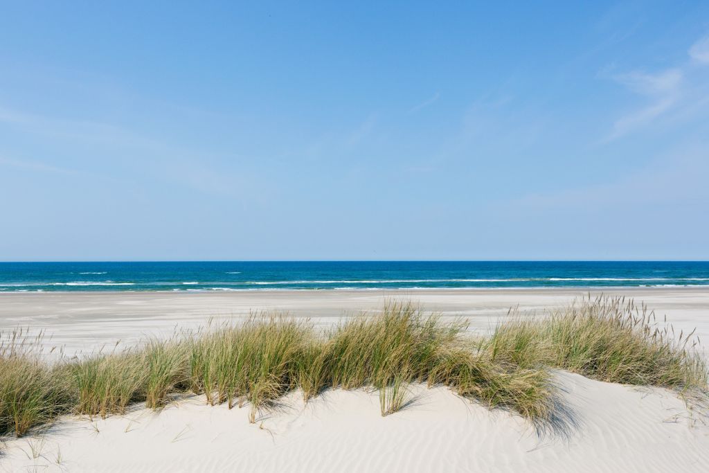 Webcam Vejers Strand