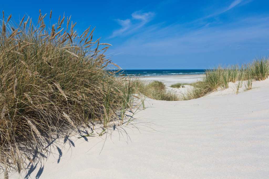 Ferienhäuser Dänemark Ostsee