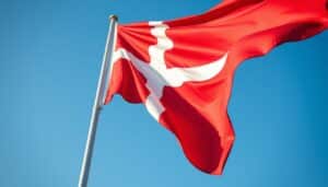 wie heißt die dänische Flagge