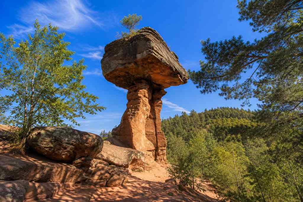 Familienurlaub in der Pfalz